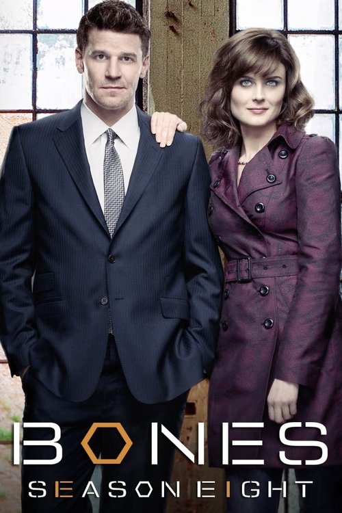 Poster de la Temporada 8 en la serie Bones