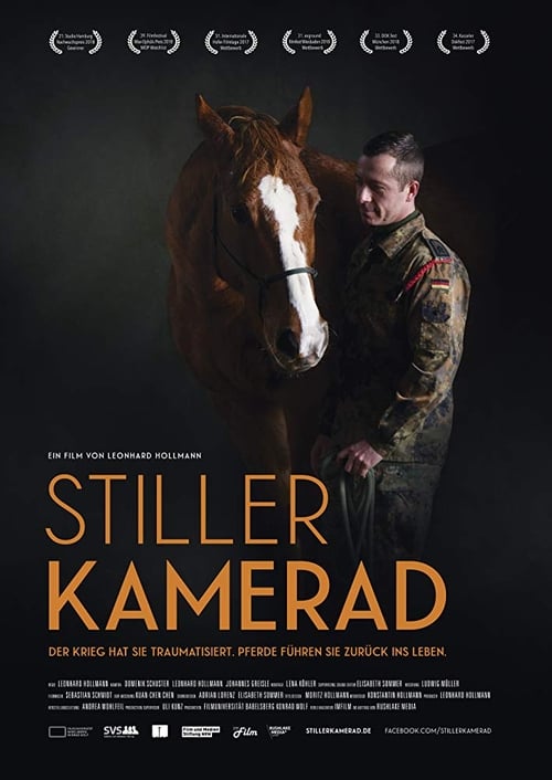 Stiller Kamerad poster