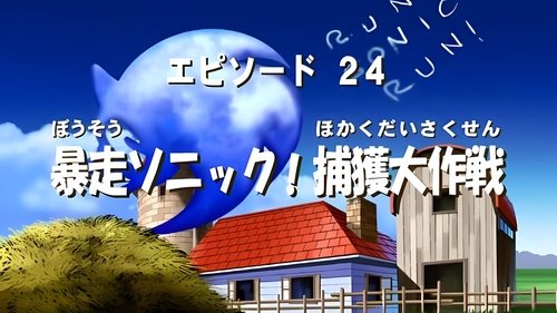 How to Catch a Hedgehog