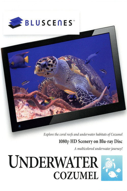 BluScenes: Underwater Cozumel