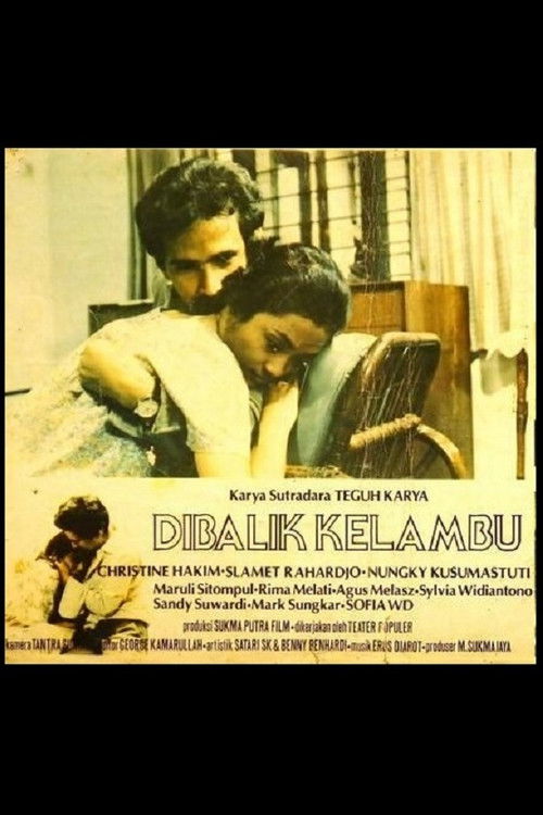 Behind the Mosquito Net poster