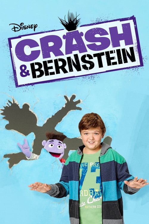 Where to stream Crash & Bernstein Season 2