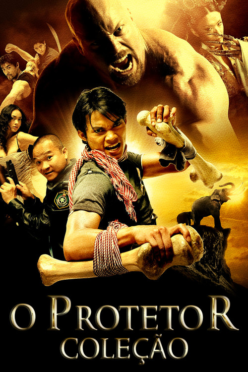 O Protetor (TonyJaa): Coleção