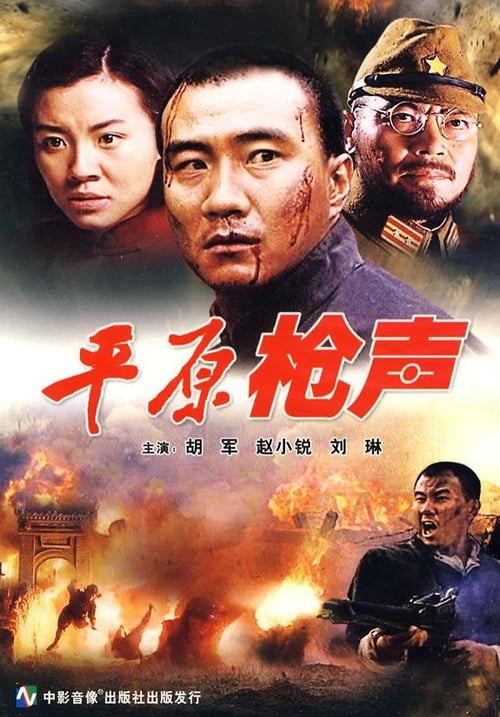 平原枪声 (2001) poster