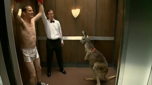 Image de l'épisode 13