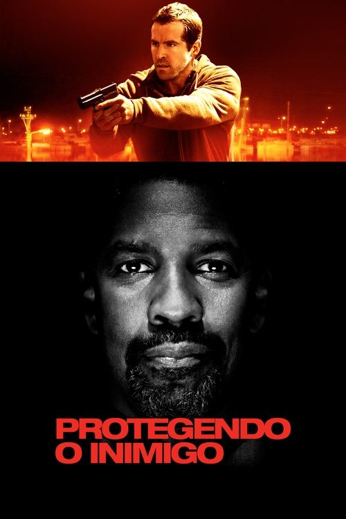 Poster do filme Protegendo o Inimigo