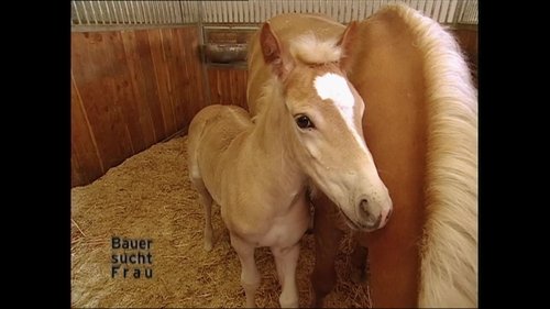 Image de l'épisode 11