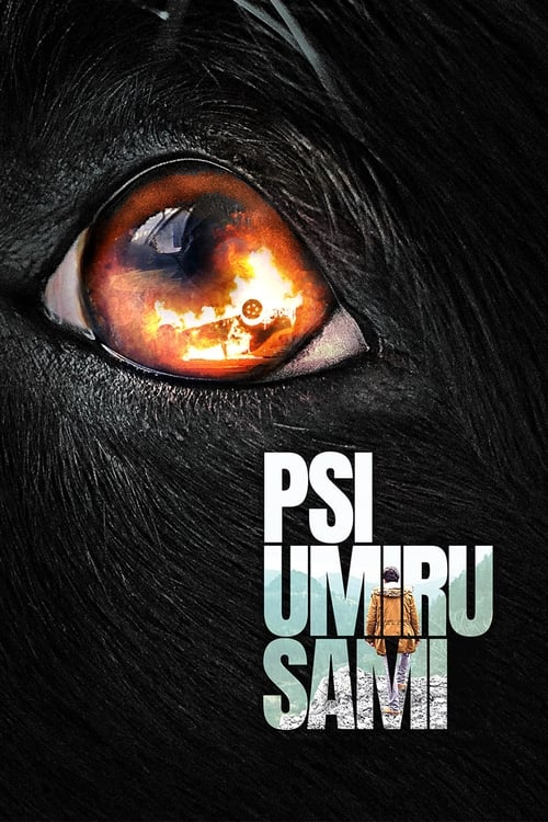 Psi umiru sami 2019