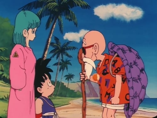 Dragon Ball: 1×3