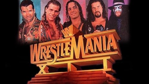 Poster della serie WWE Pay Per View
