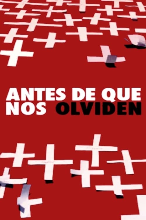 Antes de que nos olviden poster