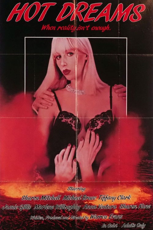 Hot Dreams poster
