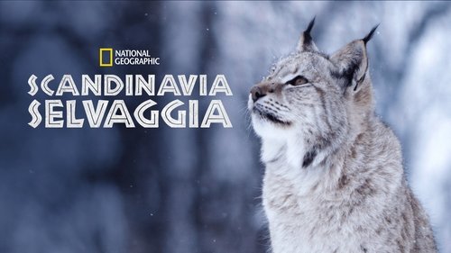 Wild Nordic
