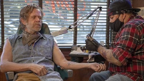 Shameless: 11×3