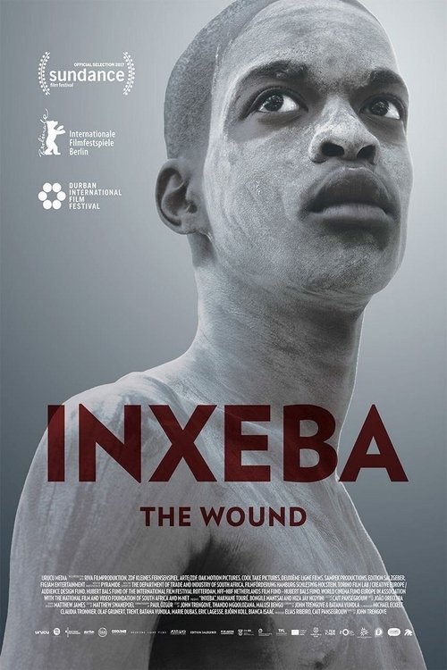 Inxeba (2017) poster