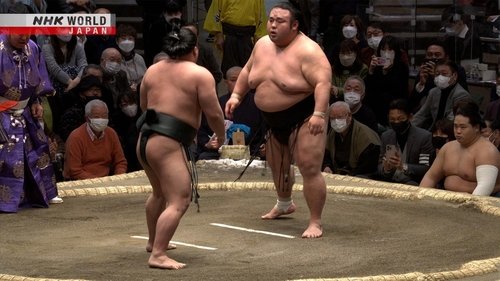 Épisode 7