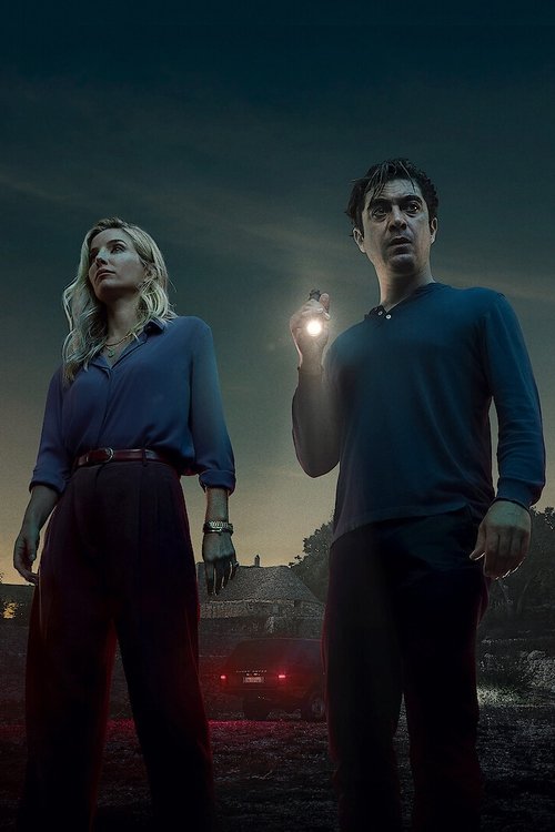 Vanished into the Night poster