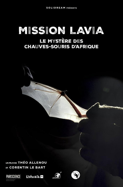 Mission Lavia : le mystère des chauves-souris d'Afrique