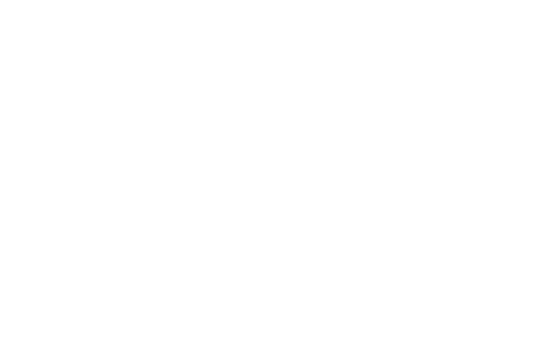 90 Day Diaries
