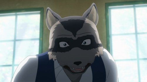 BEASTARS – O Lobo Bom: 2×1