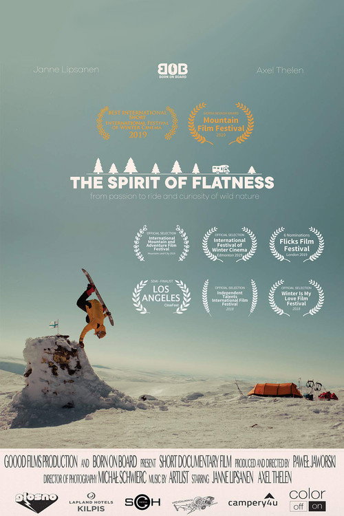 The Spirit of Flatness