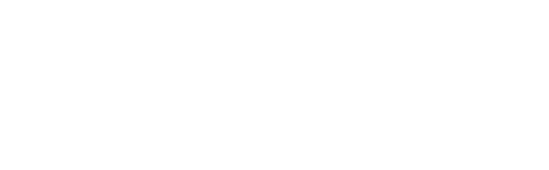 The Lion King 1½
