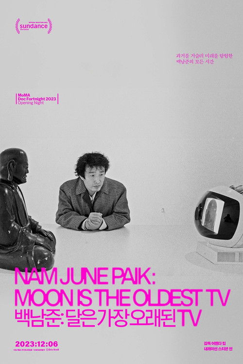 Nam June Paik: Moon Is the Oldest TV poster