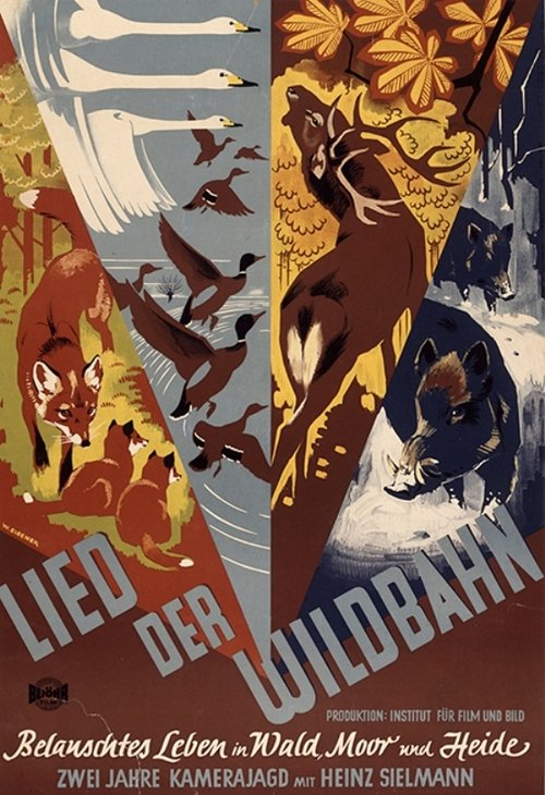 Lied der Wildbahn movie poster player