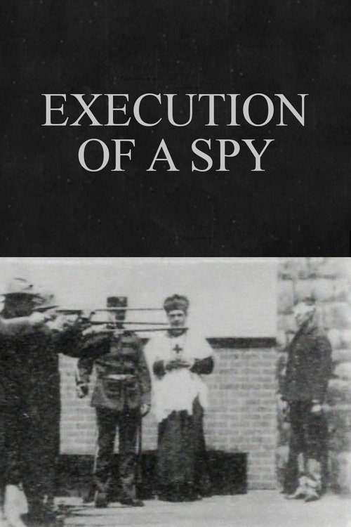 Execution of a Spy poster