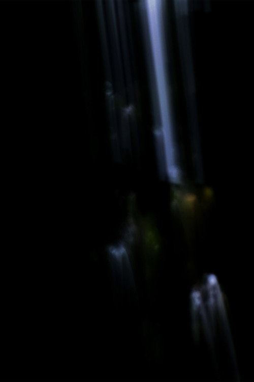 Distico (Apertura I - II)