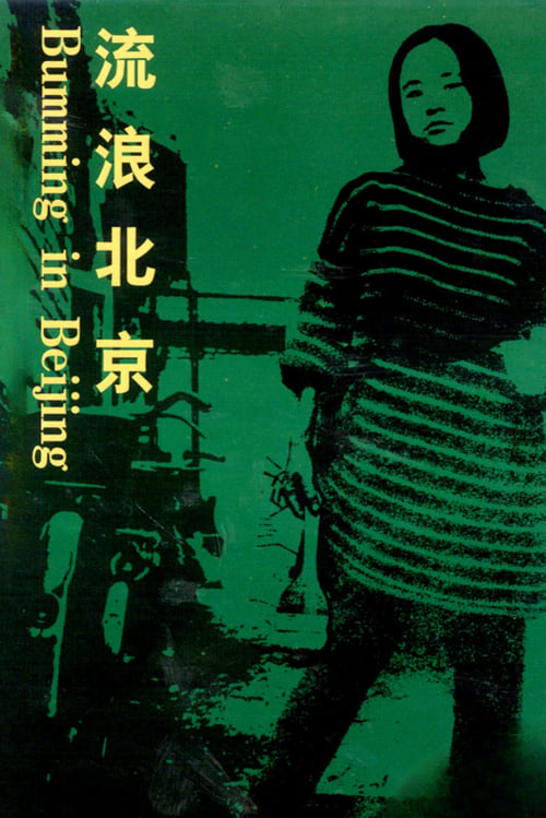 Poster 流浪北京 1990
