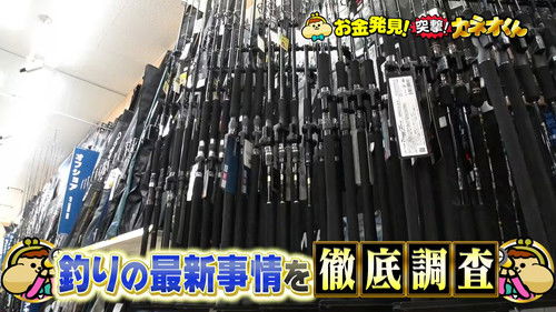 Image de l'épisode 243