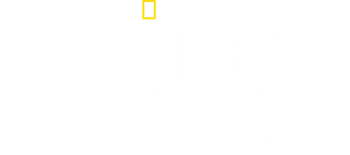 World's Biggest Hammerhead?