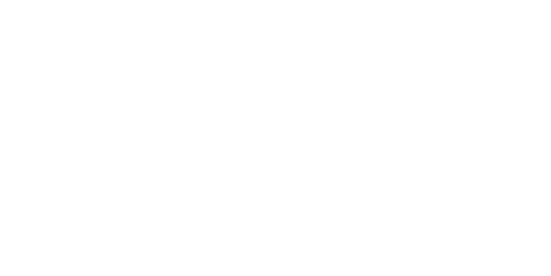 The Horses of McBride