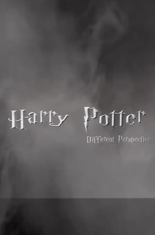 Harry Potter: Different Perspective 2021