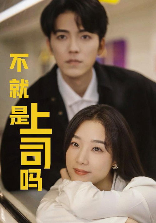 不就是上司吗 poster