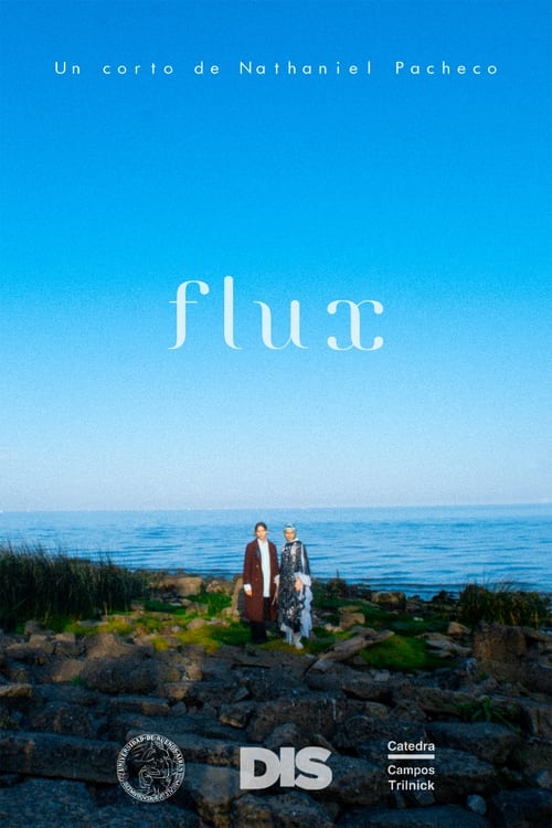 Flux (2022)