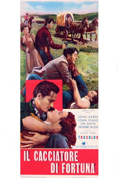 The Outcast poster