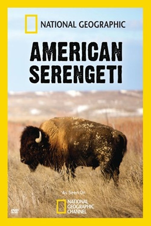American Serengeti movie poster player