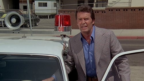 Poster della serie The Rockford Files