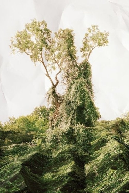 Kudzu movie poster player