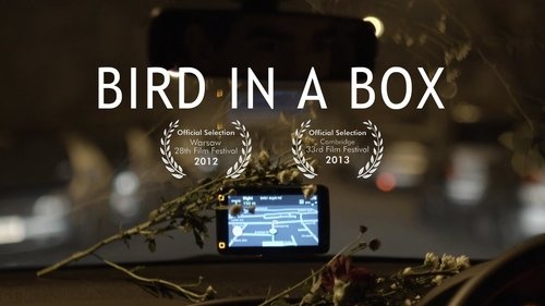 Bird in a Box Bird in a Box