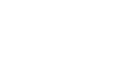 The Wedding Veil Legacy