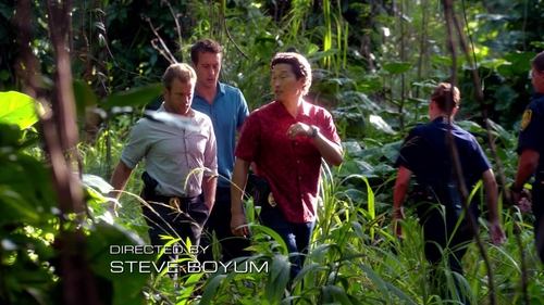 Poster della serie Hawaii Five-0