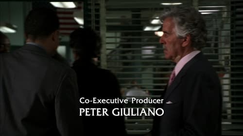 Poster della serie Law & Order