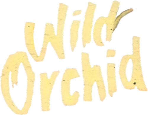 Wild Orchid