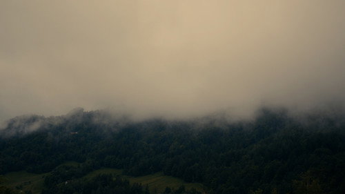 Backdrop