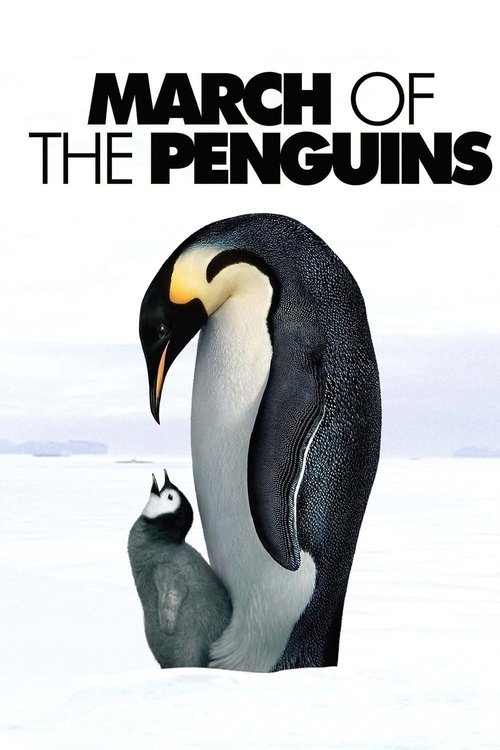 March of the Penguins poster