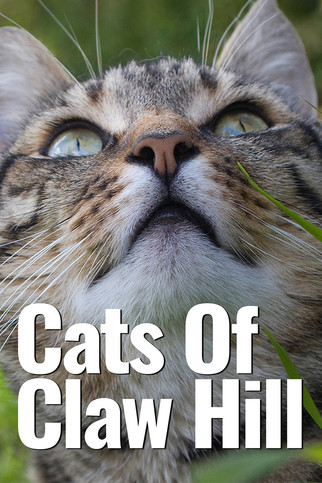 Escena 3 de Cats of Claw Hill