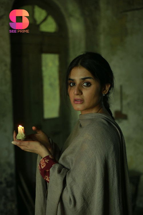 Teri Meri Kahaniyaan poster